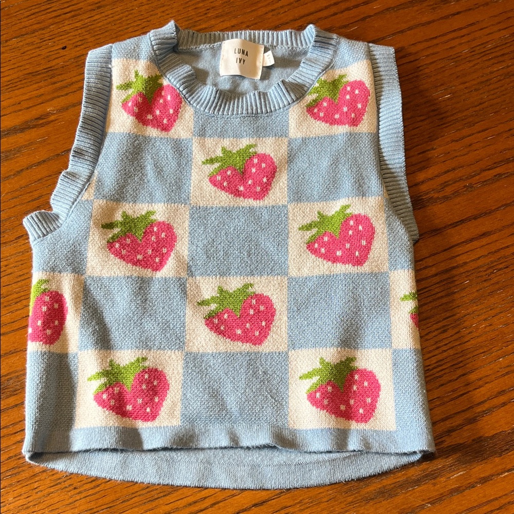 Luna Ivy Blue and Pink Strawberry Squares Sleeveless Knit Vest Small